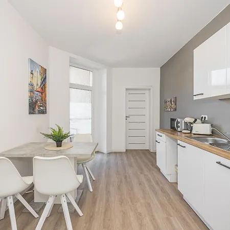 E01 Zentrales Hbf Halle Apartment *